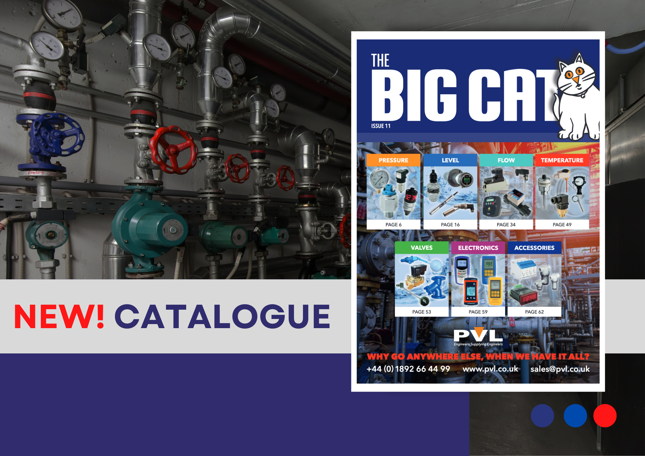 WHO LET THE CAT OUT?