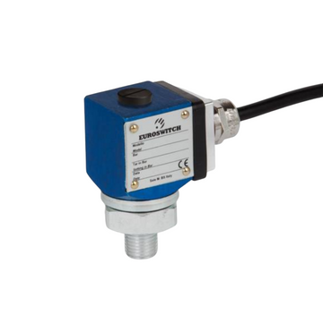 24C Pressure Switch with SPDT Contacts
