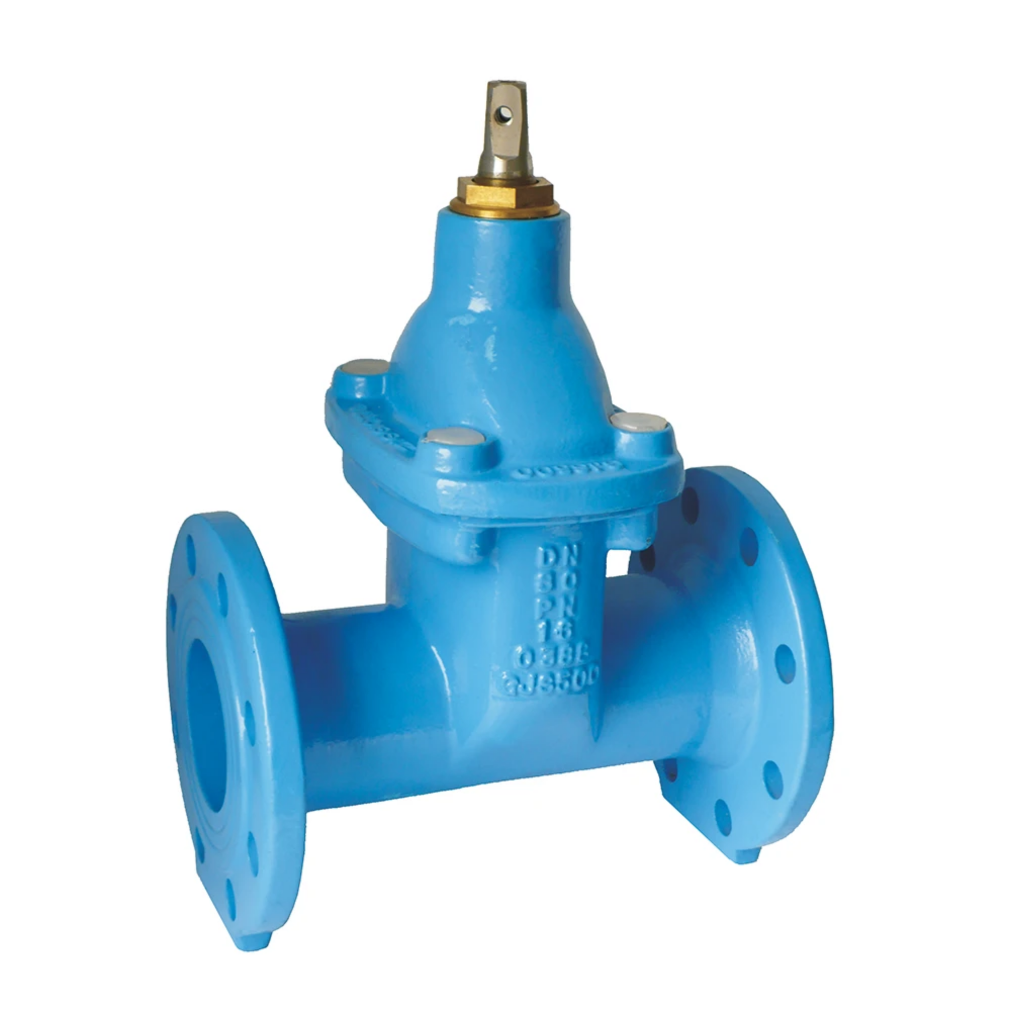 Rubber Gate Valve
