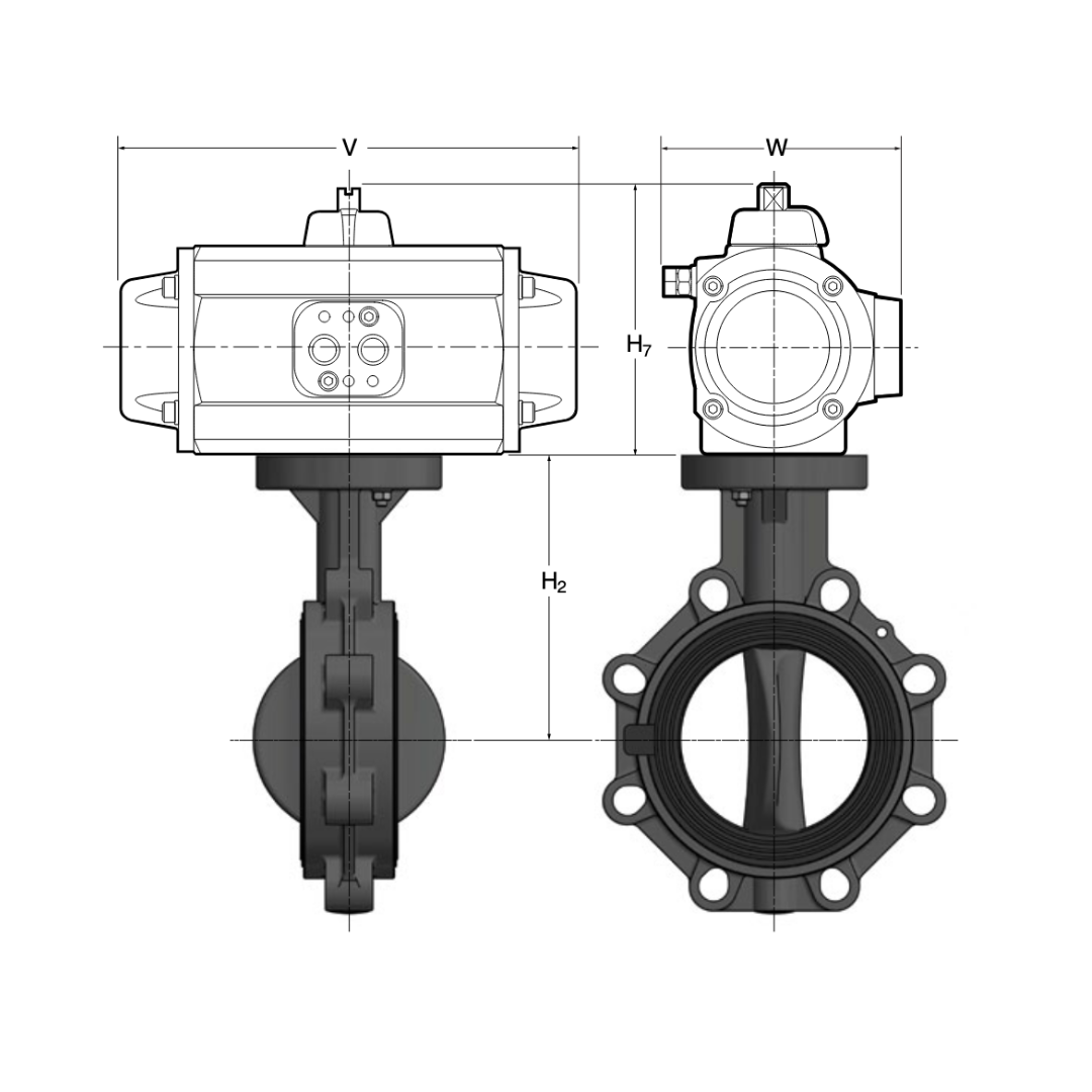 Type 61 Elastomer Seated Butterfly Valves