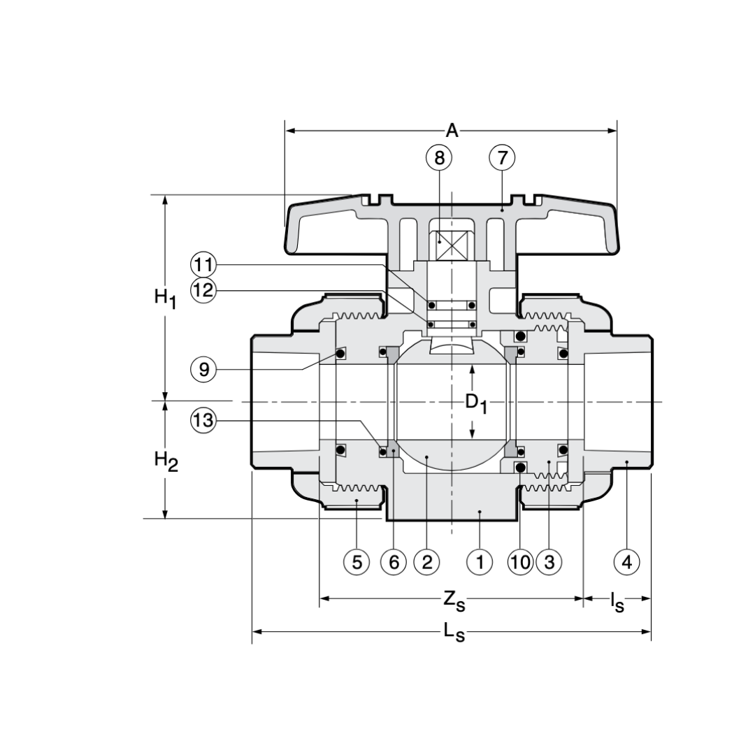 Type 21 True Union Ball Valves