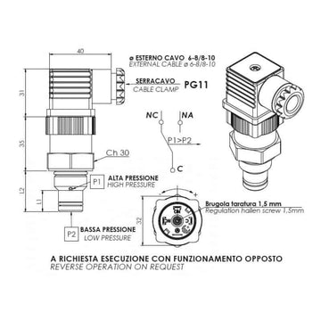 81_dwg