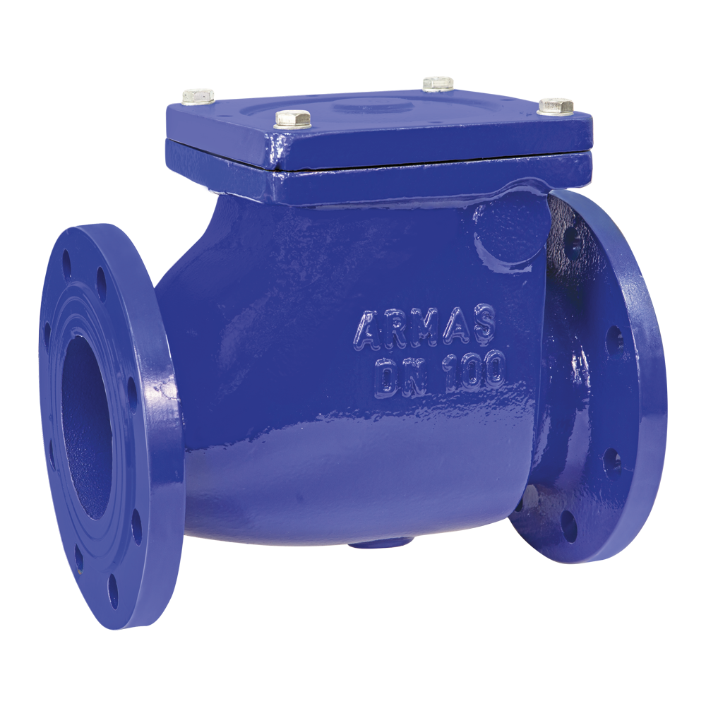swing type check valve