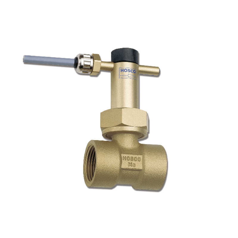 ur1_ur2_g_a_inline_paddle_flow_switch
