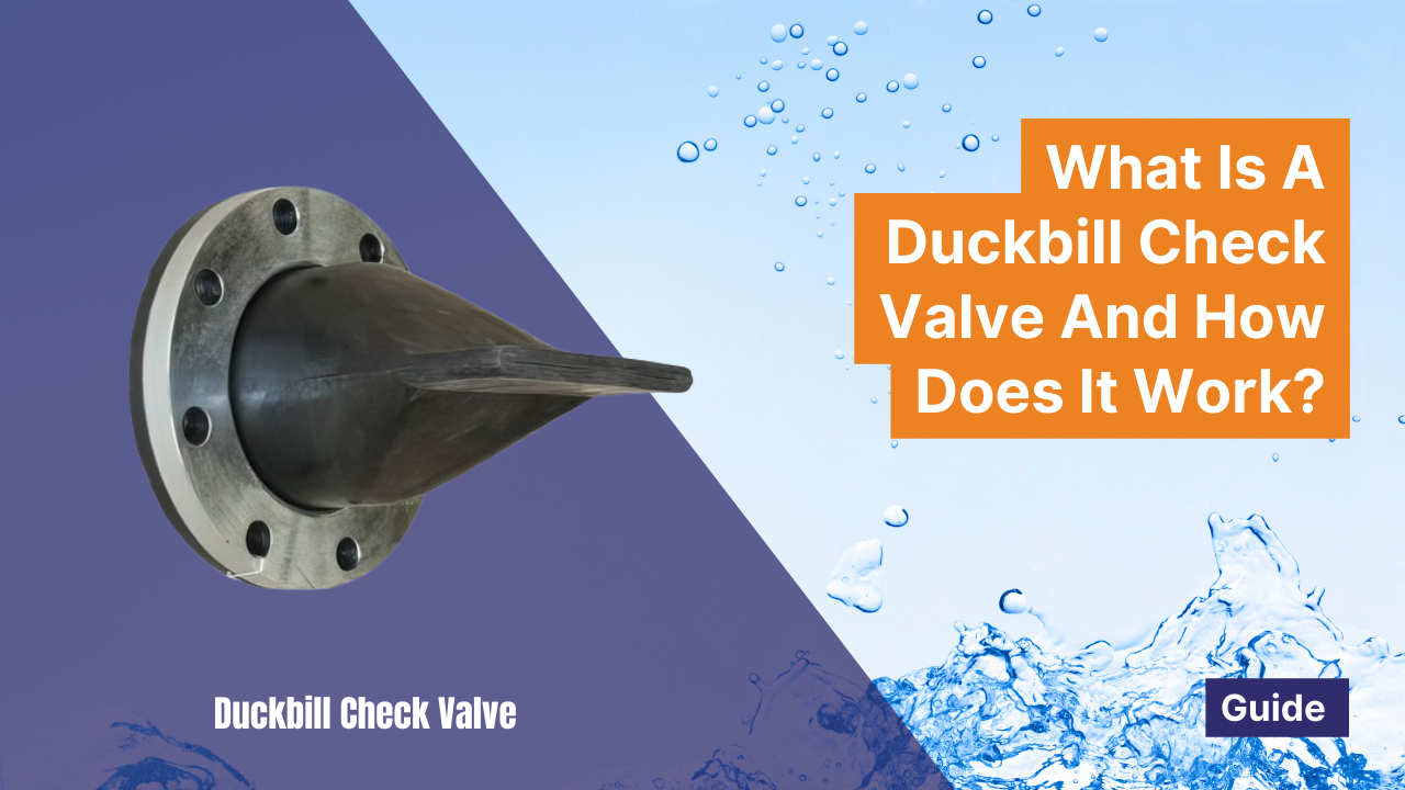 How Does A Duckbill Valve Work At Harold Olmstead Blog How Does A Duckbill Valve Work At Harold Olmstead Blog