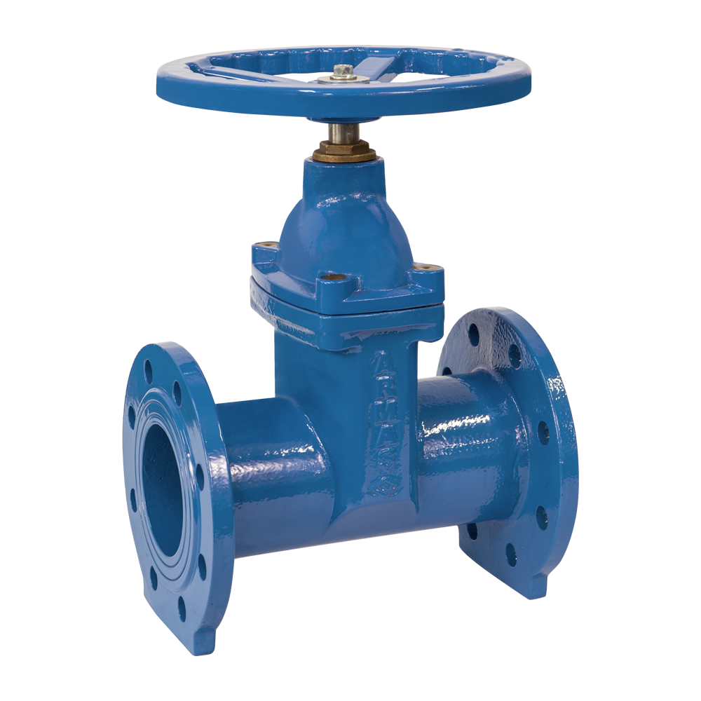 resilient seated gate valve-f5