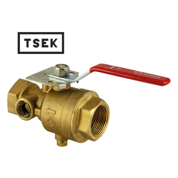 test & drain valve